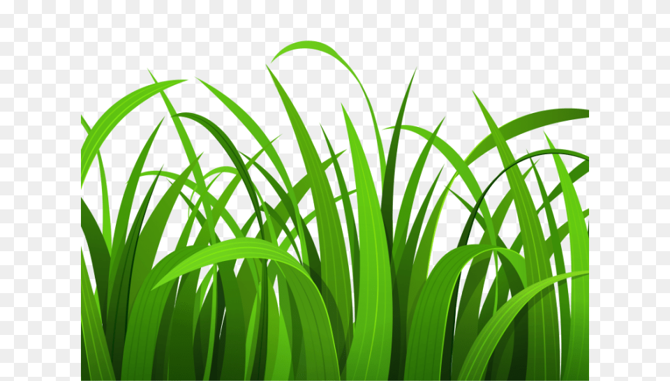 Grass Clipart Black And White Outline Archives, Green, Plant, Vegetation, Lawn Png