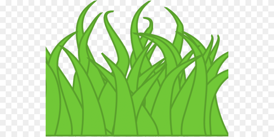Grass Clipart Border, Green, Leaf, Plant, Aquatic Free Png