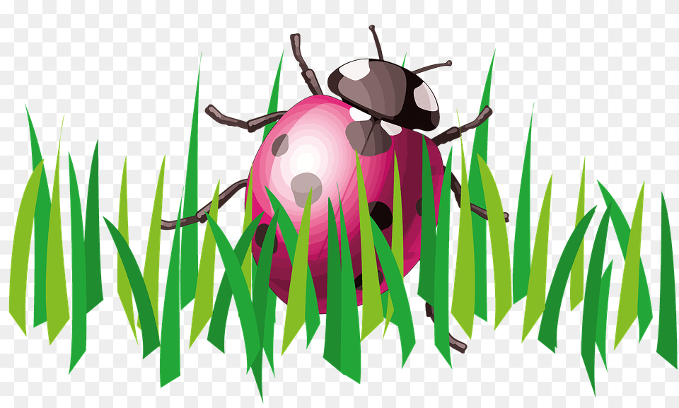 Grass Clipart Cartoon, Green, Plant Png Image