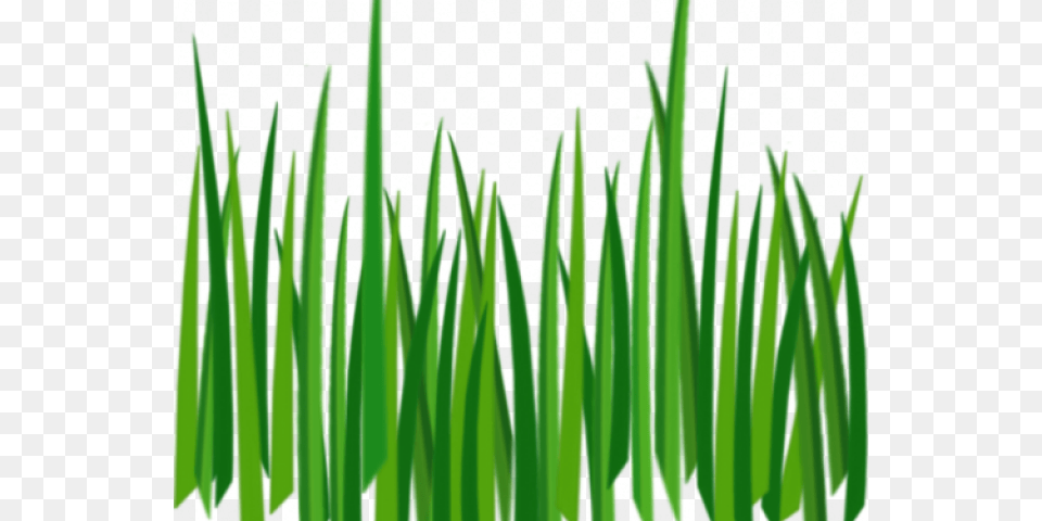 Grass Clipart Clear Background Grass Texture, Green, Lawn, Plant Free Png