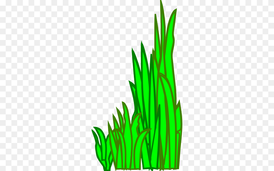 Grass Clipart For Web, Green, Plant, Vegetation, Leaf Png Image