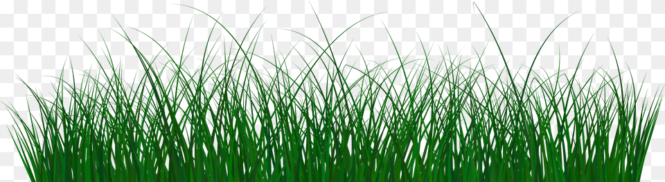 Grass Clipart Green Sweet Grass Free Png Download