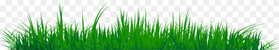 Grass Clipart Image 07 Sweet Grass, Green, Lawn, Plant, Vegetation Free Png Download