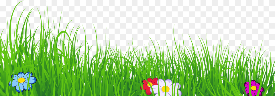 Grass Clipart No Background, Green, Plant, Daisy, Flower Free Transparent Png