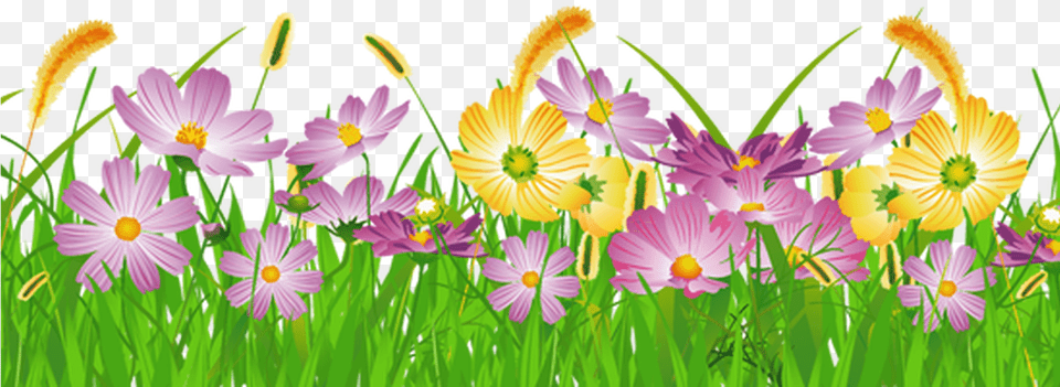 Grass Clipart No Background Google Search Borders And Flowers Clip Art Transparent, Daisy, Plant, Outdoors, Nature Free Png
