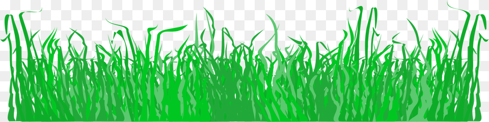 Grass Clipart Pdf Grass Illustration, Green, Plant, Aquatic, Lawn Free Png