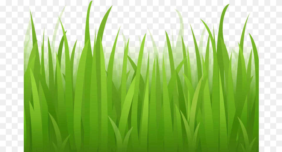 Grass Clipart Photo Gallery Cartoon Grass Background, Green, Lawn, Plant, Vegetation Png