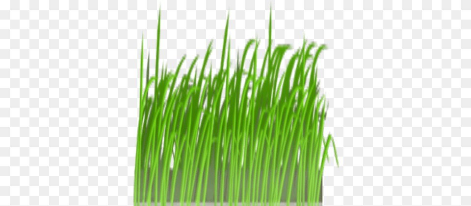 Grass Clipart Roblox Grass Clip Art, Green, Moss, Plant, Vegetation Free Transparent Png