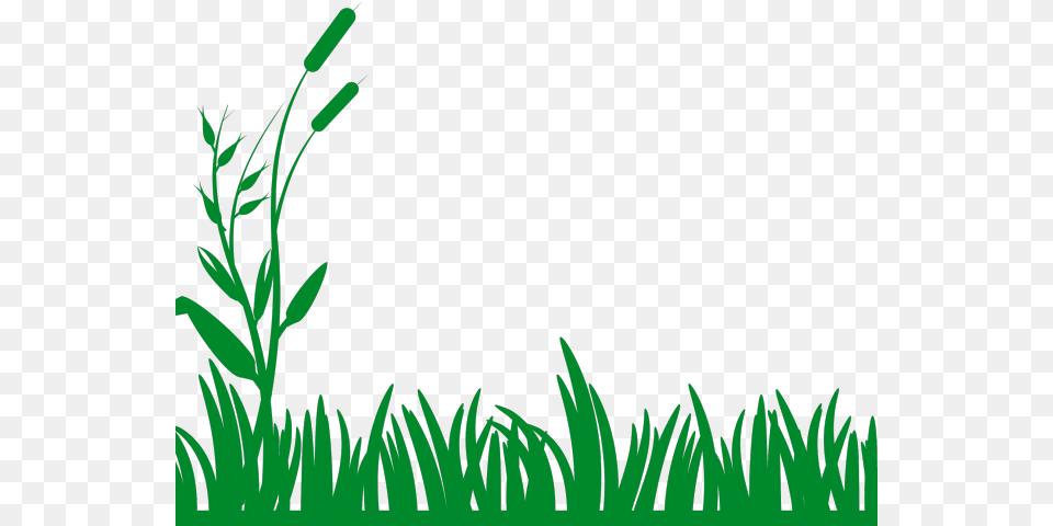 Grass Clipart Row Grass Svg, Green, Plant, Vegetation, Lawn Png