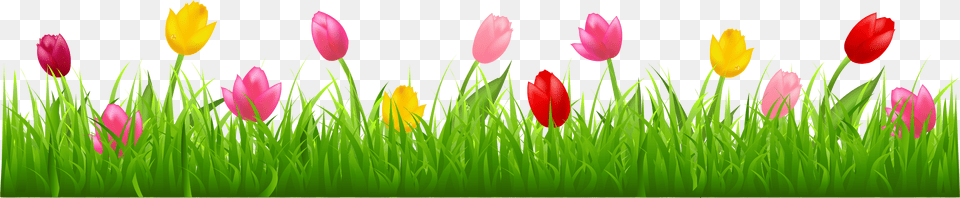 Grass Clipart Spring Grass Tulips Clip Art, Nature, Outdoors, Plant, Flower Free Png Download