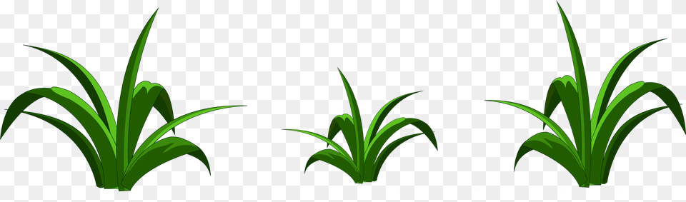 Grass Clipart Transparent, Green, Plant, Vegetation Png Image