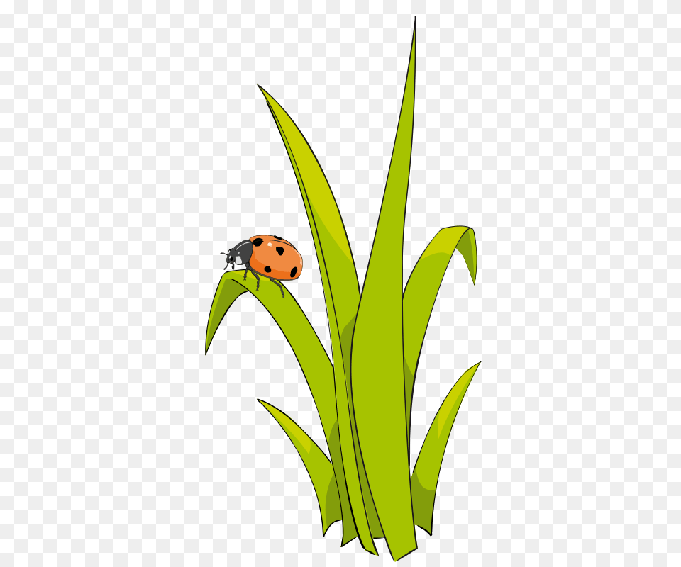 Grass Cliparts, Green, Leaf, Plant, Animal Png