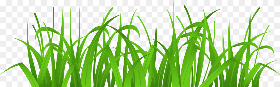 Grass Cover Clip Art Clipart Grass, Green, Lawn, Plant, Vegetation Png