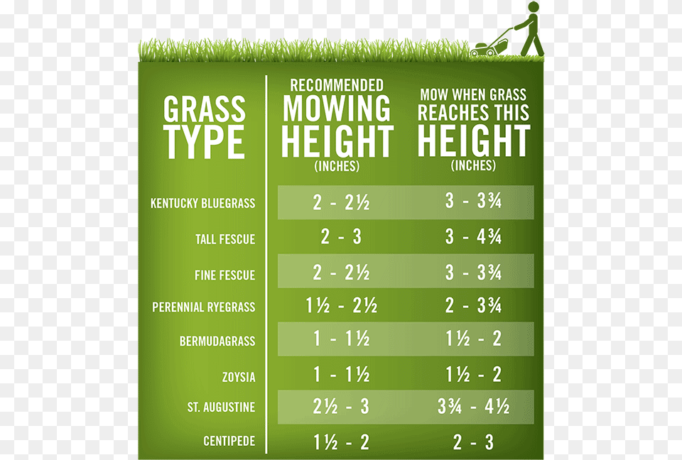 Grass Cutting Height, Text, Advertisement Free Png Download