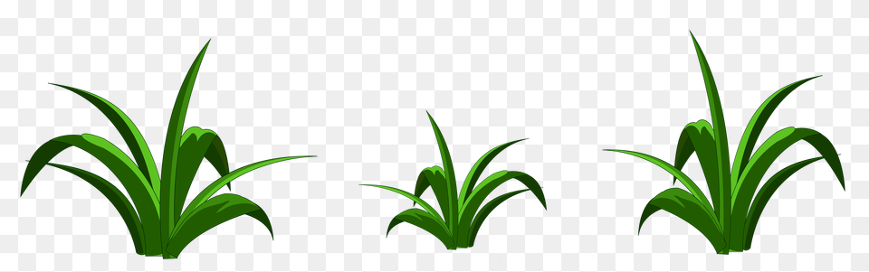 Grass Decor Transparent, Green, Plant, Vegetation, Herbal Free Png Download