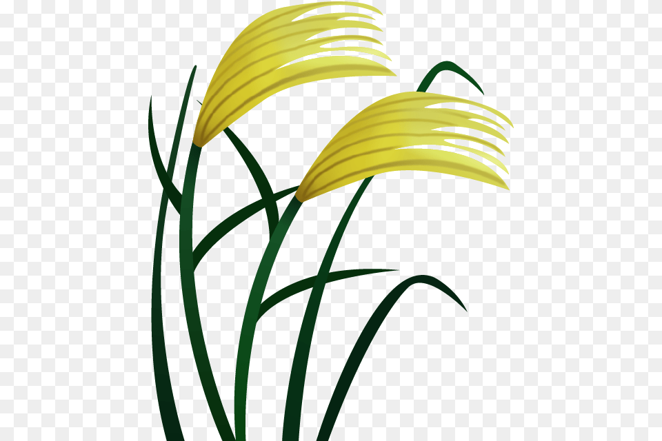 Grass Emoji, Plant, Reed, Flower, Bow Png