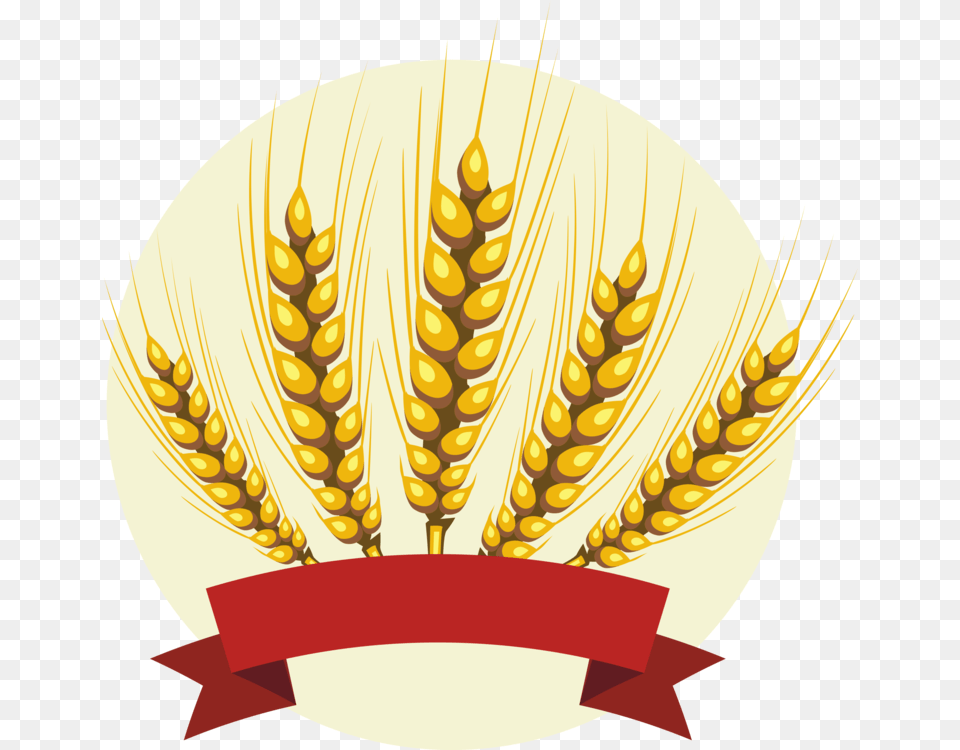 Grass Familywheatfood Grain Barley Clipart, Food, Produce, Wheat Free Png Download