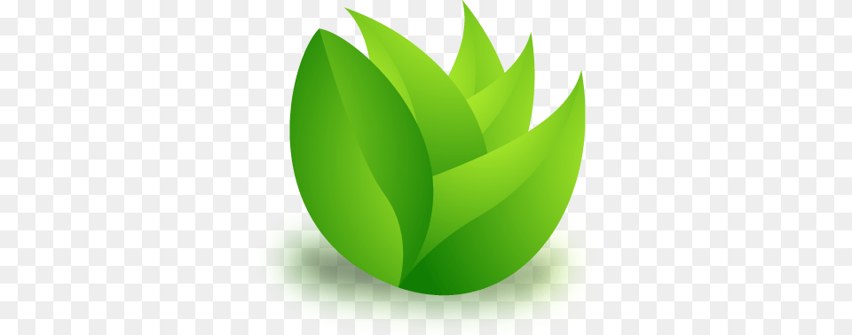 Grass Fed Standards Grass Icon Vector, Green, Leaf, Plant, Herbal Png