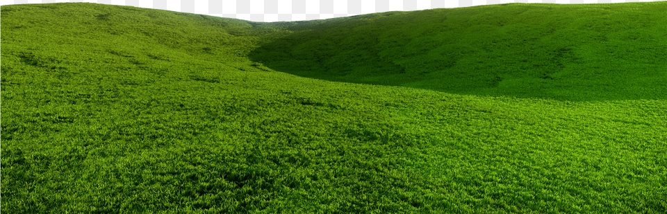 Grass Field, Grassland, Plant, Outdoors, Nature Free Png Download