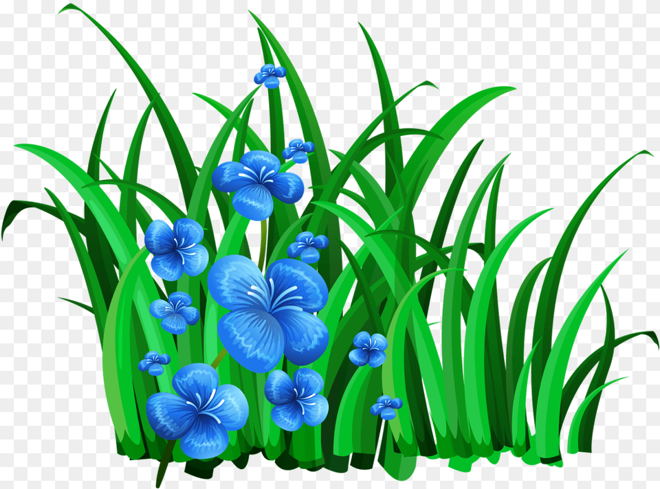 Grass Flower Art Flower Clipart, Iris, Plant Png Image