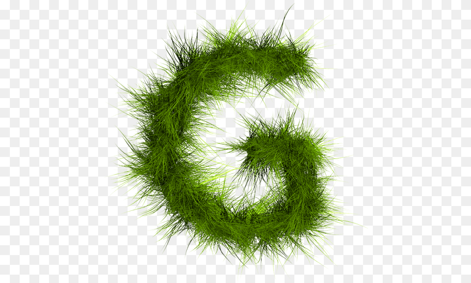 Grass Font, Moss, Plant, Wreath Png Image