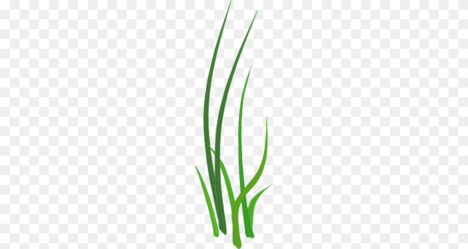 Grass For Tubes, Plant, Food, Produce Free Png