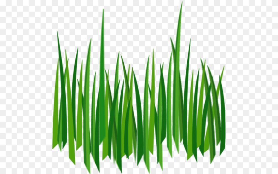 Grass For Tubes, Green, Lawn, Plant, Aquatic Free Png
