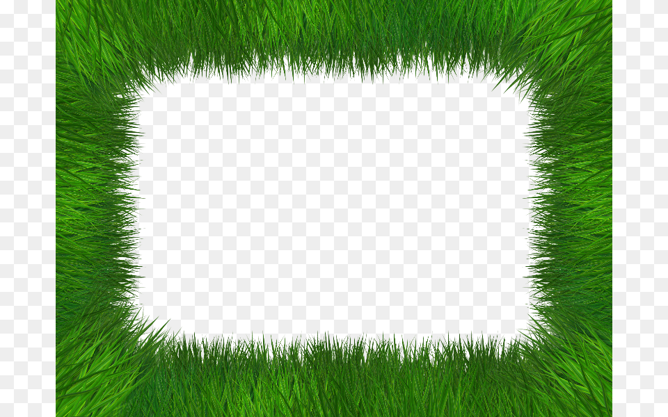 Grass Frame Isolated With Transparent Background Grass Border Transparent Background, Green Png