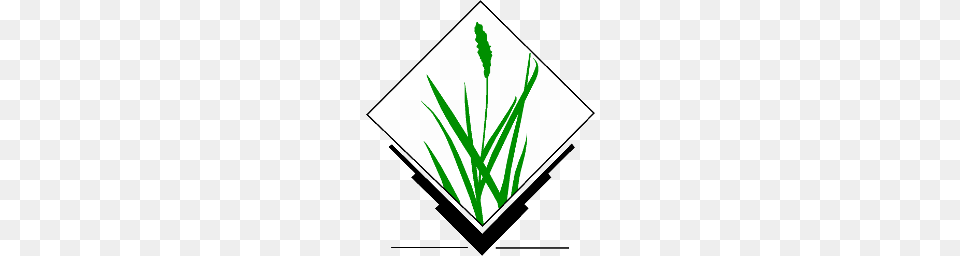 Grass Gis, Plant, Vegetation, Leaf, Agropyron Free Transparent Png