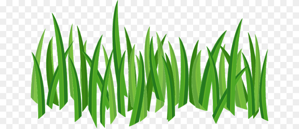 Grass Grass Icon, Green, Lawn, Plant, Vegetation Free Png Download