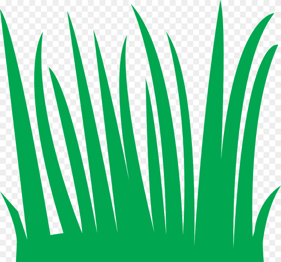 Grass Green Nature Meadow Field Lawn Gambar Animasi Rumput Hijau, Plant, Leaf, Accessories Free Png Download
