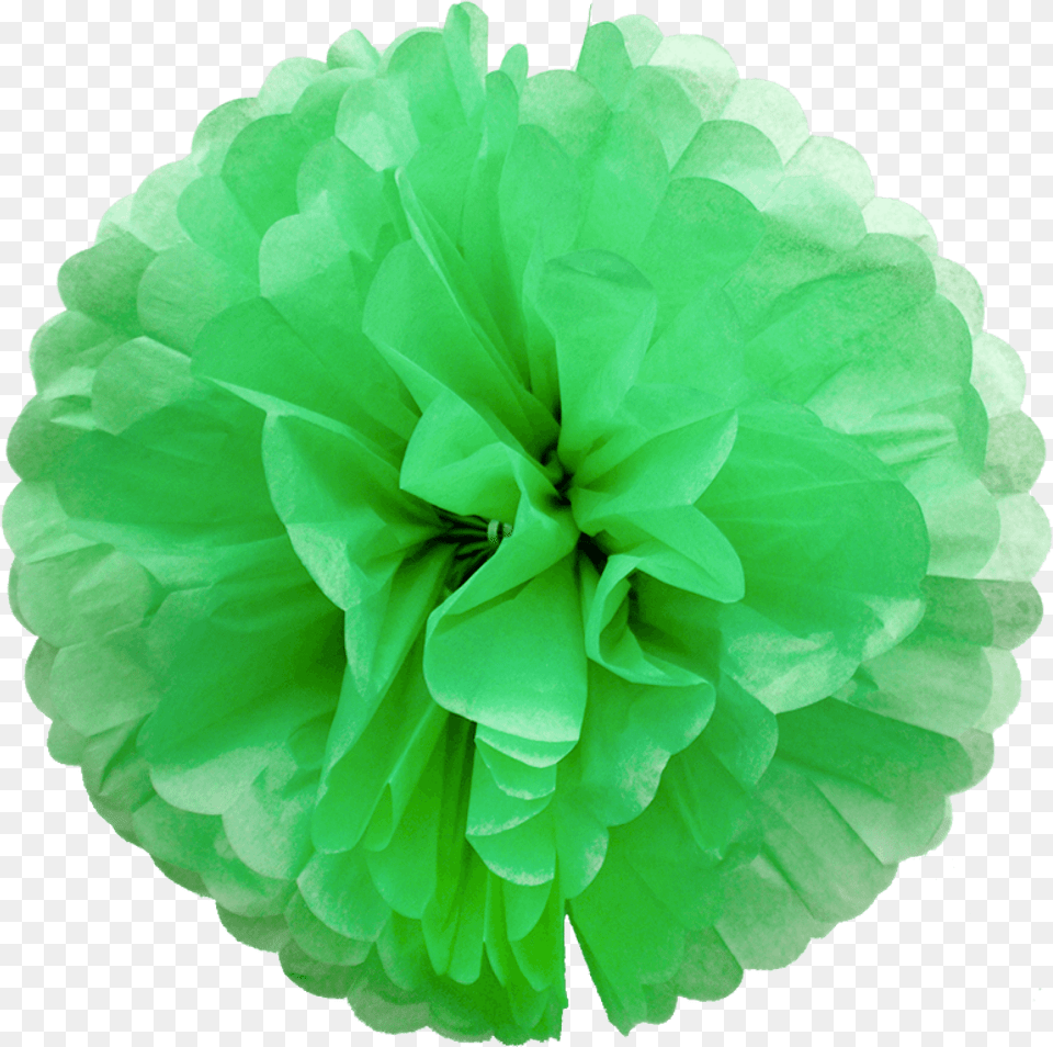 Grass Green Paper Pompoms Green Pom Poms, Dahlia, Flower, Plant, Rose Free Transparent Png