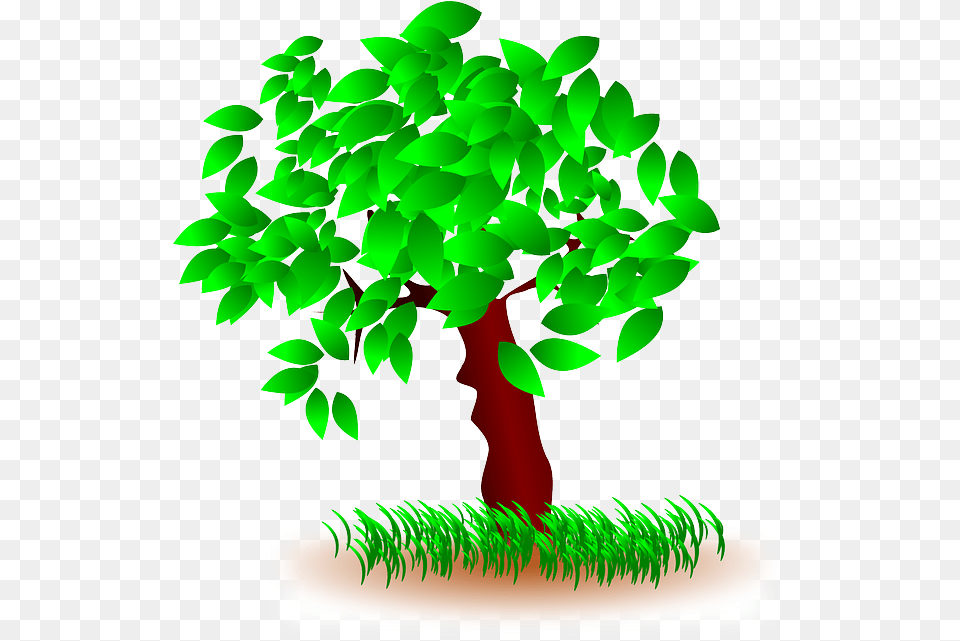 Grass Green Plant Lawn Leaves Nature Trees And Grass Clip Art, Potted Plant, Tree, Leaf, Bonsai Free Transparent Png