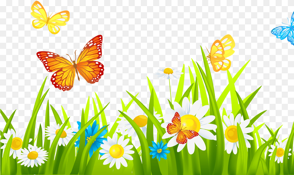 Grass Ground With Flowers And Butterflies Clipart Grass With Flower Clipart, Daisy, Plant, Nature, Outdoors Png Image