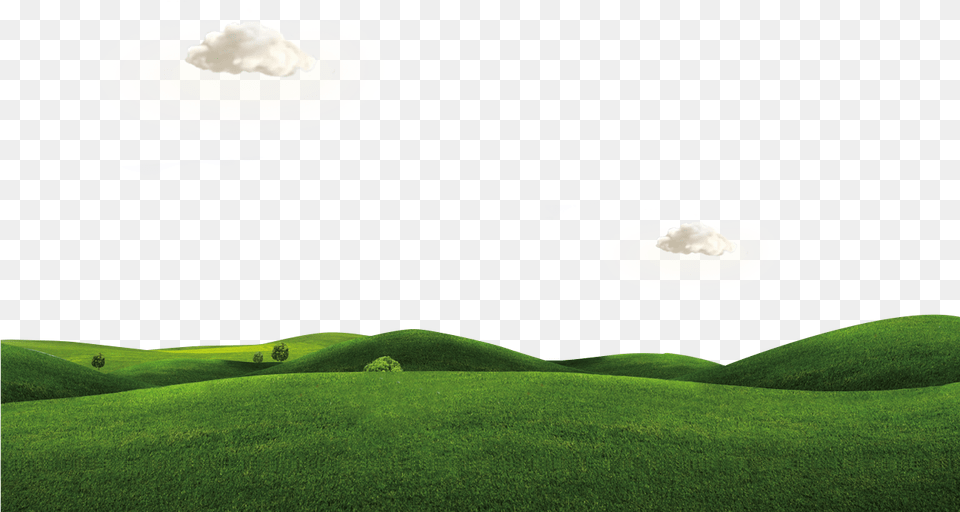 Grass Hill Background Padang Rumput Hd, Field, Plant, Outdoors, Nature Png