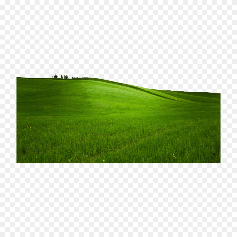 Grass Hills Scenery Nature, Field, Lawn, Plant, Grassland Png