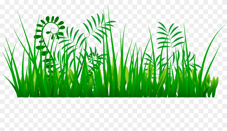 Grass Images A Live Ornament Tool Only, Green, Plant, Vegetation, Lawn Png