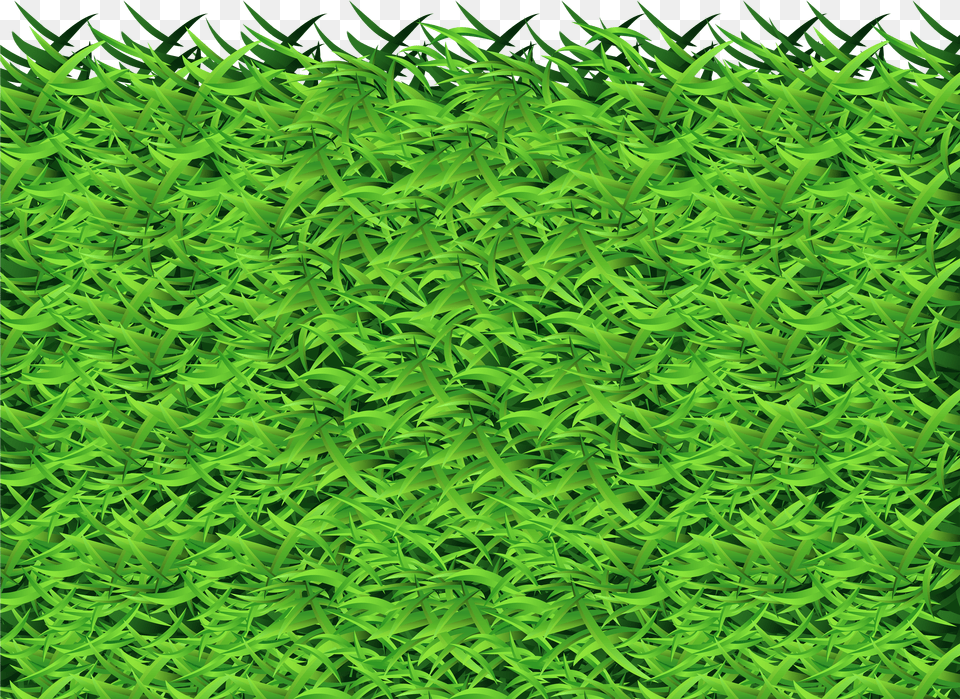 Grass Images Transparent Vascular Plant Free Png