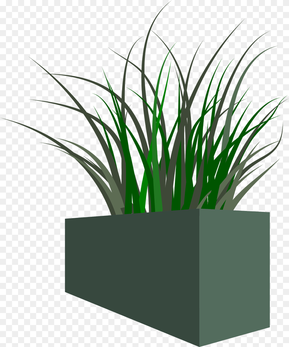 Grass In Square Planter Icons, Jar, Plant, Potted Plant, Pottery Png Image