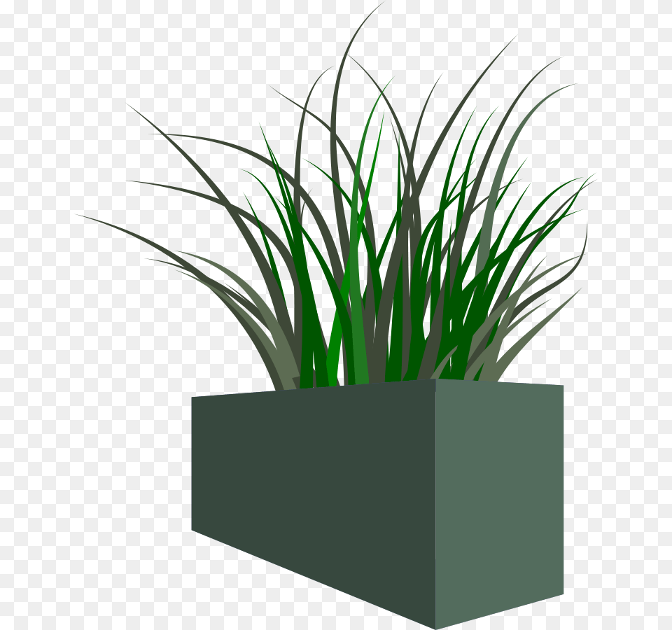 Grass In Square Planter Transparent Flower Box, Jar, Plant, Potted Plant, Pottery Png