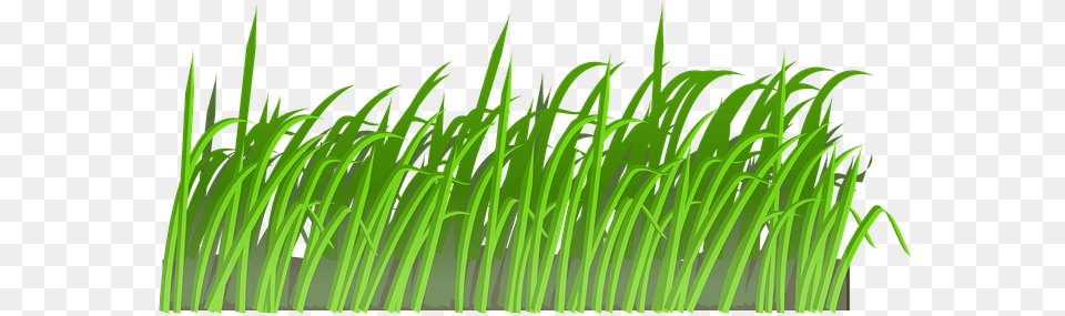 Grass Lawn Green Nature Spring Meadow Summ Cartoon Grass, Plant, Vegetation, Aquatic, Water Free Png