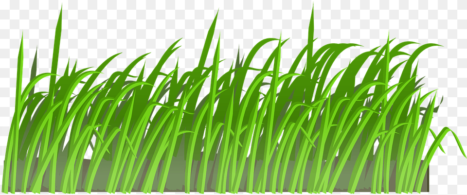 Grass Lawn Green Nature Spring Meadow Summer Cartoon Lawn, Plant, Vegetation, Aquatic, Water Png Image