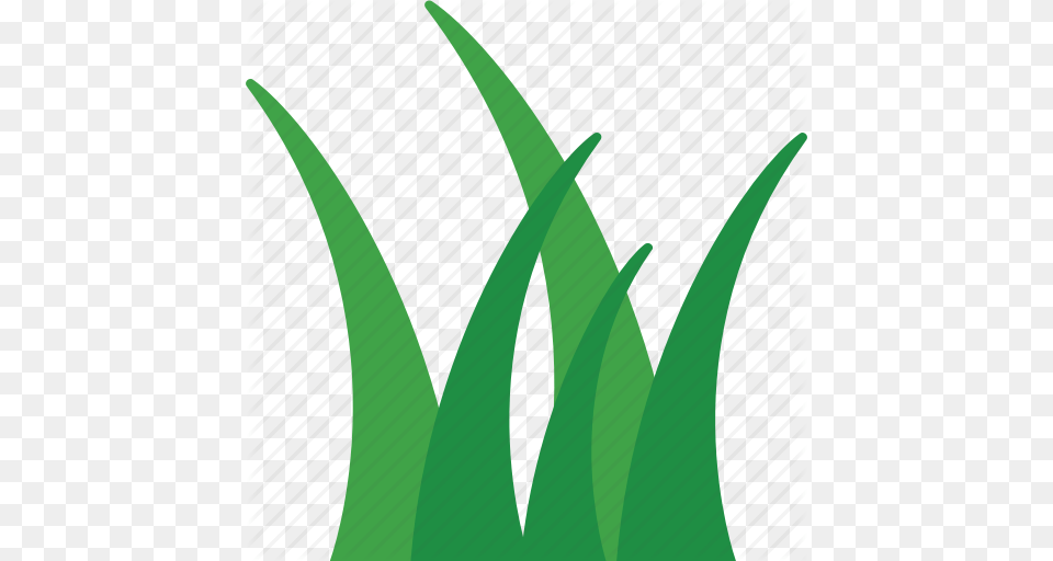 Grass Lawn Meadow Turf Yard Icon, Green, Plant, Leaf, Aloe Png