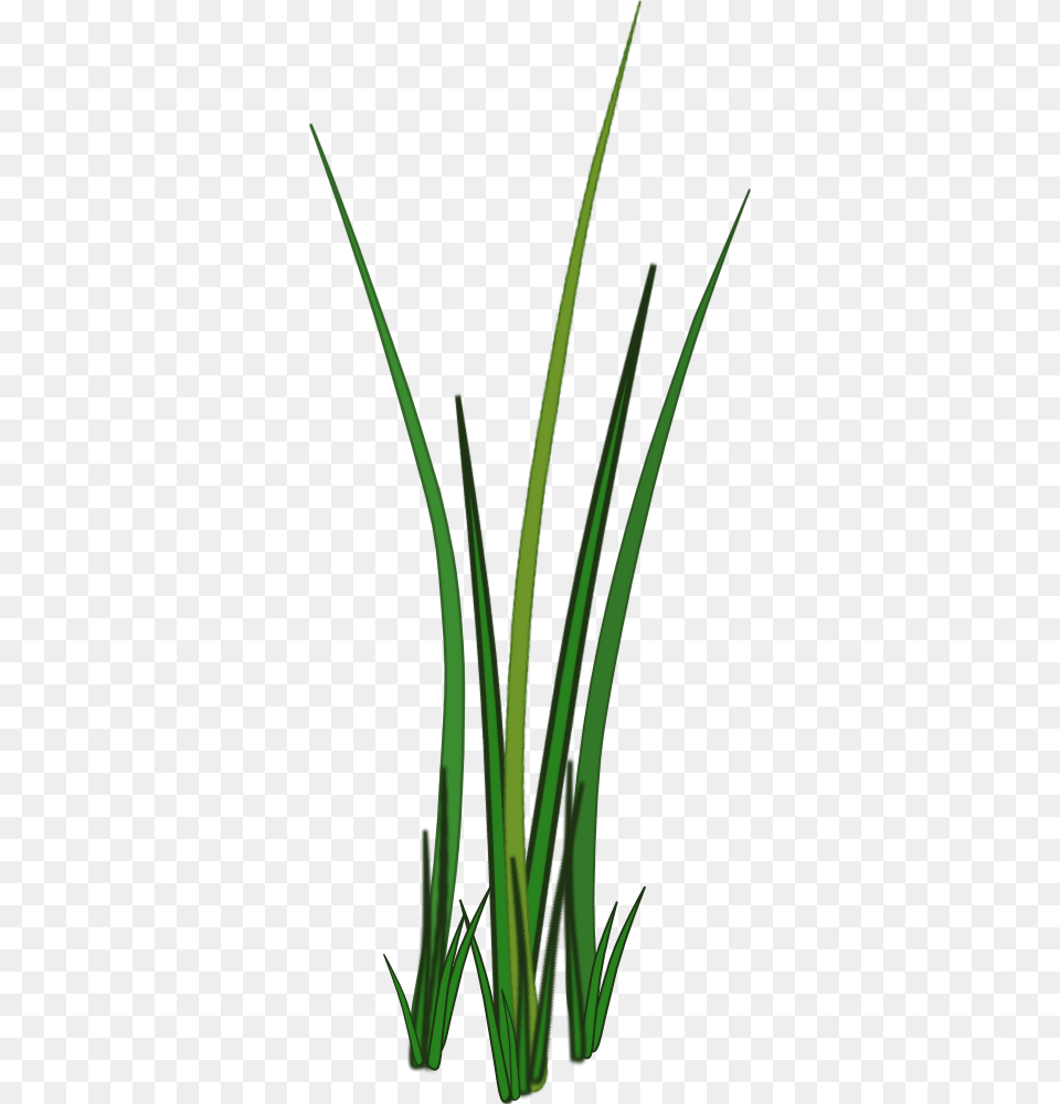 Grass Leaf Texture, Plant, Bow, Weapon, Aloe Free Png