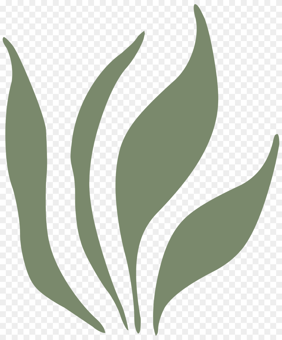 Grass Leaves Ornament Green Left Clipart, Leaf, Plant, Animal, Fish Png Image