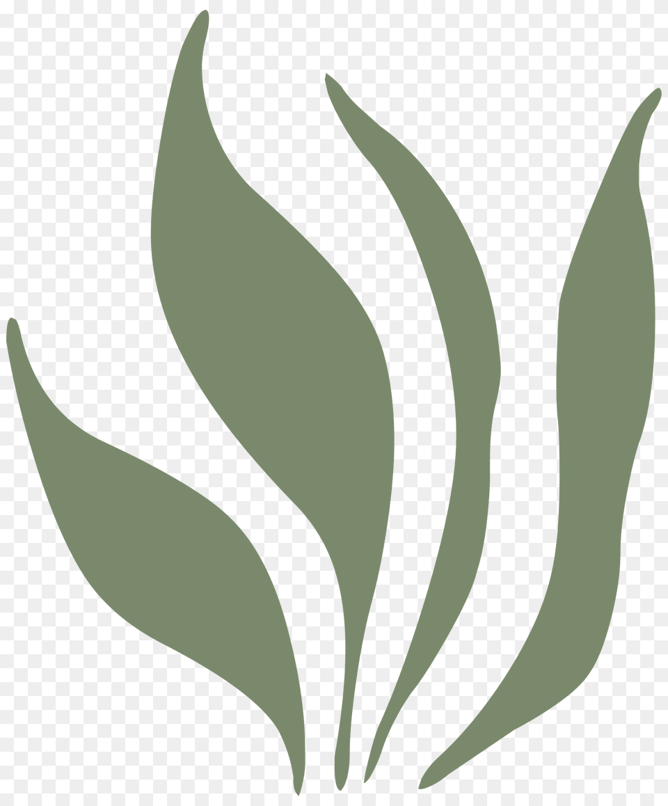 Grass Leaves Ornament Green Right Clipart, Leaf, Plant, Animal, Fish Free Png Download