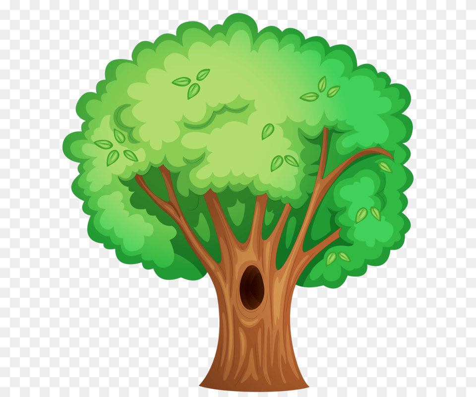 Grass Leaves Trees School Teaching, Plant, Tree, Sycamore, Tree Trunk Png Image