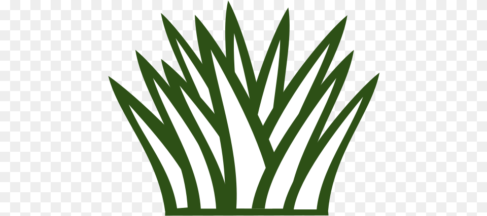 Grass Line Art Black And White, Green, Leaf, Plant Png Image