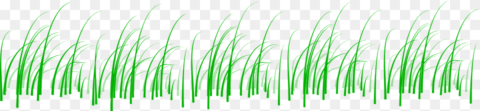 Grass Line Clipart, Green, Plant, Vegetation, Aquatic Png