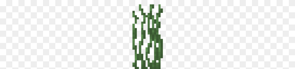 Grass Official Minecraft Wiki, Green, Plant, Tree, Vegetation Png Image